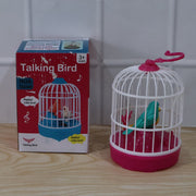 Talking bird toy kids play use